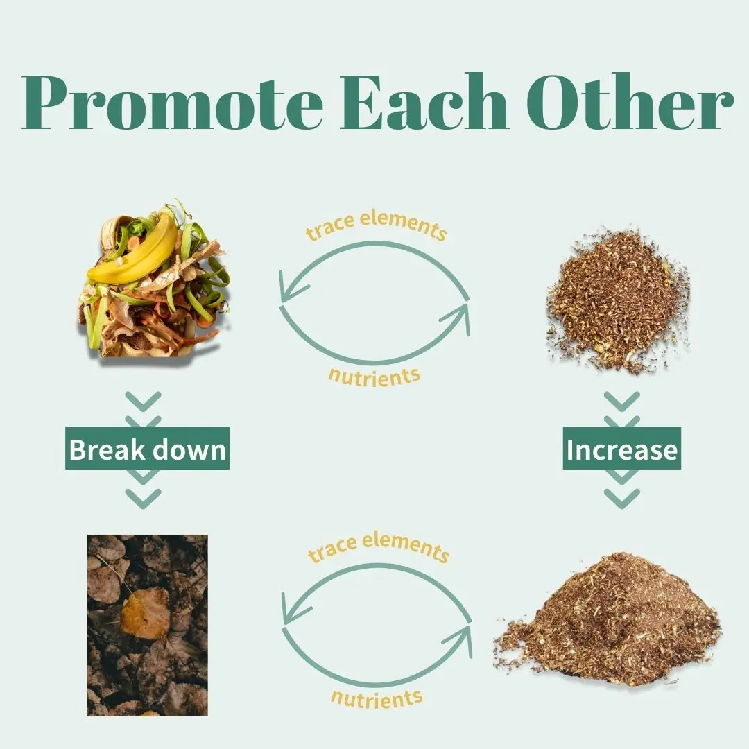 garden soil vs compost