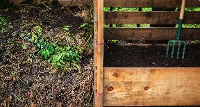 Rich compost